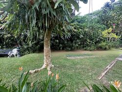 Bukit Timah Road (D10), Detached #491135871